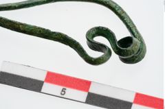 Foto von Bronzeschlangenfibel (NHMW-PRAE-024220)